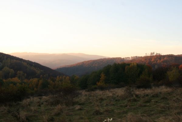 Jedľové Kostoľany, 26.10.2013
Brezov Štál. Pohled na sever na Hlbokú dolinu a vrch Kamenné vráta.
Klíčová slova: Jedľové Kostoľany Brezov Štál vrch Kamenné vráta Hlboká dolina