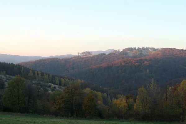 Jedľové Kostoľany, 26.10.2013
Brezov Štál. Pohled na sever na vrch Kamenné vráta. 
Klíčová slova: Jedľové Kostoľany Brezov Štál vrch Kamenné vráta