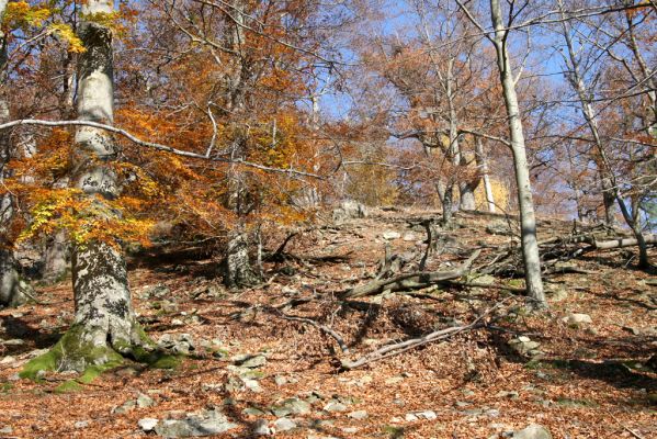 Malá Lehota, 26.10.2013
Hlboká dolina, vrch Kamenné vráta.
Klíčová slova: Malá Lehota Hlboká dolina vrch Kamenné vráta