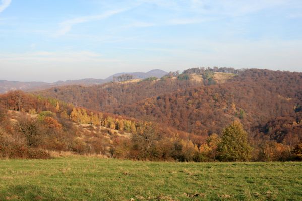 Jedľové Kostoľany, 26.10.2013
Brezov Štál. Pohled na vrch Kamenné vráta.
Keywords: Jedľové Kostoľany Brezov Štál vrch Kamenné vráta Hlboká dolina