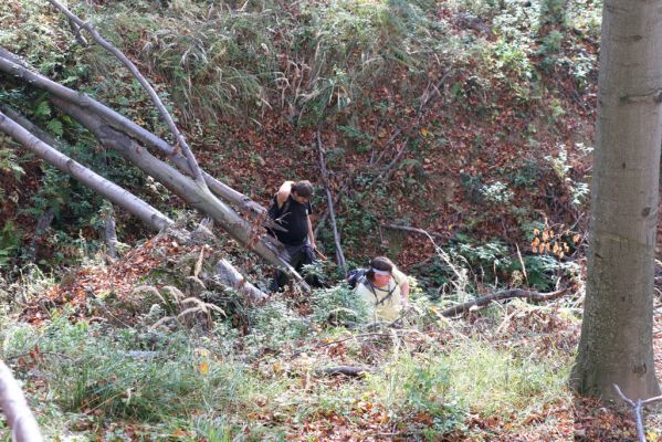 Malá Lehota, 26.10.2013
Hlboká dolina, vrch Kamenné vráta.
Klíčová slova: Malá Lehota Hlboká dolina vrch Kamenné vráta Dušánek Samek