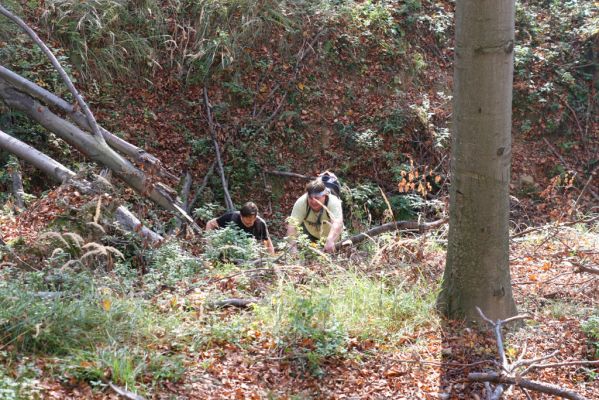 Malá Lehota, 26.10.2013
Hlboká dolina, vrch Kamenné vráta.
Klíčová slova: Malá Lehota Hlboká dolina vrch Kamenné vráta Dušánek Samek