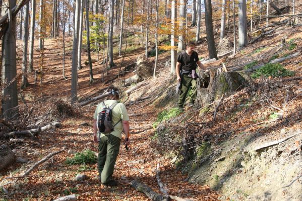 Malá Lehota, 26.10.2013
Hlboká Dolina, vrch Kamenné vráta.
Klíčová slova: Malá Lehota Hlboká dolina vrch Kamenné vráta Dušánek Samek Ischnodes sanguinicollis