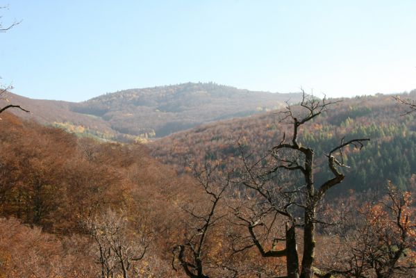 Malá Lehota, 26.10.2013
Hlboká dolina, vrch Kamenné vráta. Pohled na Brezový vrch.
Klíčová slova: Malá Lehota Hlboká dolina vrch Kamenné vráta Brezový vrch