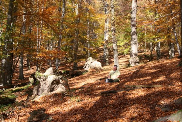 Malá Lehota, 26.10.2013
Hlboká dolina, vrch Kamenné vráta.
Klíčová slova: Malá Lehota Hlboká dolina vrch Kamenné vráta Samek