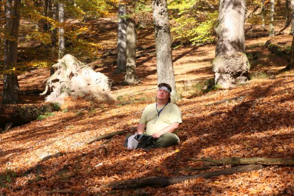 Malá Lehota, 26.10.2013
Hlboká dolina, vrch Kamenné vráta.
Klíčová slova: Malá Lehota Hlboká dolina vrch Kamenné vráta Samek
