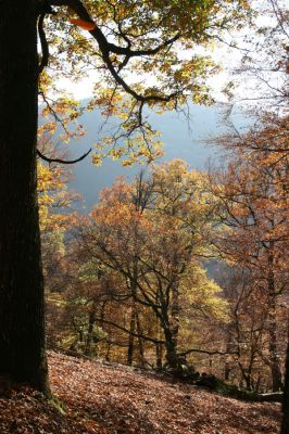 Malá Lehota, 26.10.2013
Hlboká dolina, vrch Kamenné vráta. 
Klíčová slova: Malá Lehota Hlboká dolina vrch Kamenné vráta