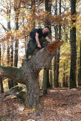Malá Lehota, 26.10.2013
Hlboká dolina, vrch Kamenné vráta. Odlomený vrchol dubu osídlený kovaříky Ampedus cardinalis.
Klíčová slova: Malá Lehota Hlboká dolina vrch Kamenné vráta Ampedus cardinalis Dušánek
