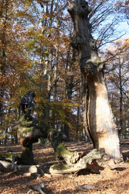 Malá Lehota, 26.10.2013
Hlboká dolina, vrch Kamenné vráta.
Klíčová slova: Malá Lehota Hlboká dolina vrch Kamenné vráta