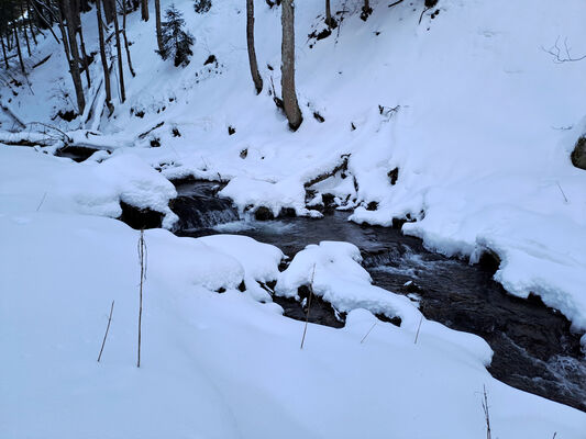 Malá Úpa, 19.1.2024
Údolí Kravího potoka.
Keywords: Krkonoše Malá Úpa Údolí Kravího potoka