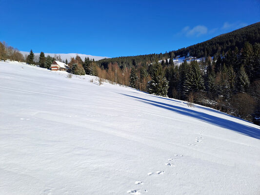 Malá Úpa, 19.1.2024
Krakonošovo údolí.
Klíčová slova: Krkonoše Malá Úpa Krakonošovo údolí