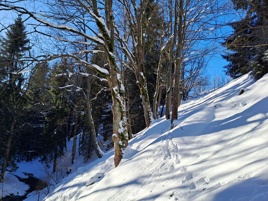 Malá Úpa, 19.1.2024
Krakonošovo údolí.
Keywords: Krkonoše Malá Úpa Krakonošovo údolí