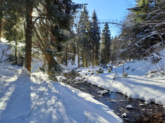 Malá Úpa, 19.1.2024
Údolí Kravího potoka.
Schlüsselwörter: Krkonoše Malá Úpa Krakonošovo údolí Kraví potok