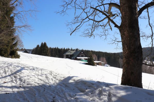 Pec Pod Sněžkou, 1.3.2022
Velká Úpa - Janovy Boudy.
Keywords: Krkonoše Pec pod Sněžkou Velká Úpa Světlá