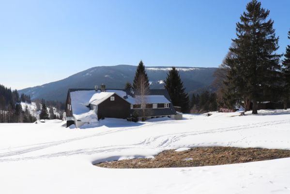 Pec Pod Sněžkou, 1.3.2022
Velká Úpa - Janovy Boudy.
Klíčová slova: Krkonoše Pec pod Sněžkou Velká Úpa Světlá