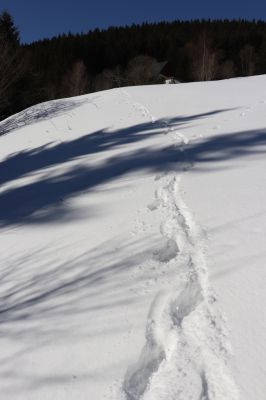 Malá Úpa, 1.3.2022
Dolní Malá Úpa, Krakonošovo údolí.
Mots-clés: Krkonoše Dolní Malá Úpa Krakonošovo údolí