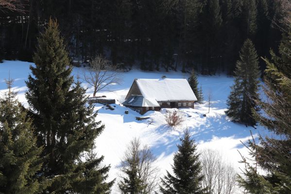 Malá Úpa, 1.3.2022
Dolní Malá Úpa, Krakonošovo údolí.
Schlüsselwörter: Krkonoše Dolní Malá Úpa Krakonošovo údolí