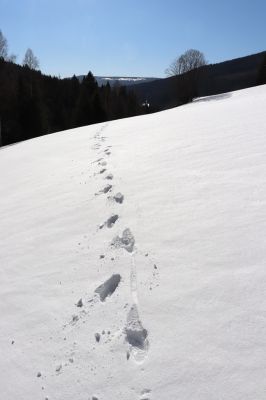 Malá Úpa, 1.3.2022
Dolní Malá Úpa, Krakonošovo údolí.
Schlüsselwörter: Krkonoše Dolní Malá Úpa Krakonošovo údolí