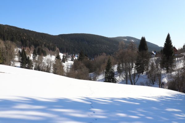 Malá Úpa, 1.3.2022
Dolní Malá Úpa, Krakonošovo údolí.
Klíčová slova: Krkonoše Dolní Malá Úpa Krakonošovo údolí