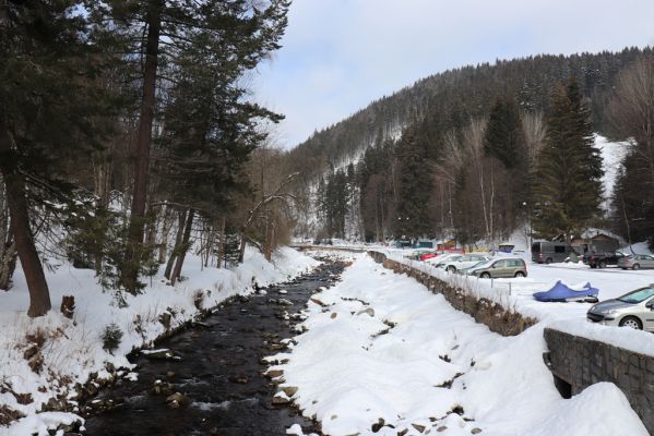 Malá Úpa, 24.3.2021
Dolní Malá Úpa - Úpa u Spáleného Mlýna.
Klíčová slova: Krkonoše Dolní Malá Úpa Spálený Mlýn