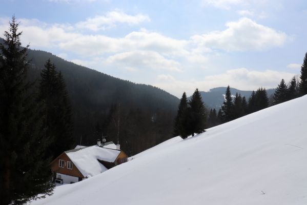 Malá Úpa, 24.3.2021
Dolní Malá Úpa - Krakonošovo údolí.
Klíčová slova: Krkonoše Dolní Malá Úpa Krakonošovo údolí