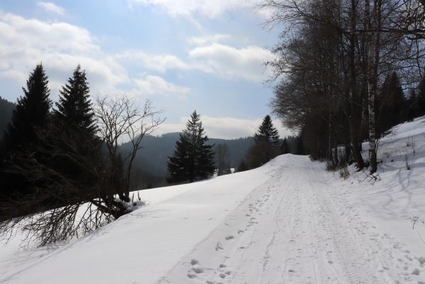 Malá Úpa, 24.3.2021
Dolní Malá Úpa - Krakonošovo údolí.
Mots-clés: Krkonoše Dolní Malá Úpa Krakonošovo údolí