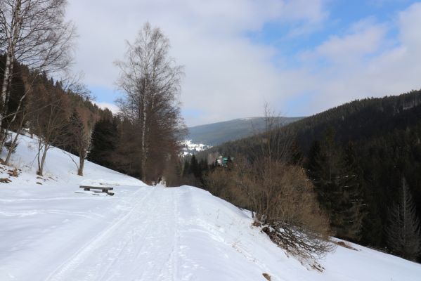 Malá Úpa, 24.3.2021
Dolní Malá Úpa - Krakonošovo údolí.
Klíčová slova: Krkonoše Dolní Malá Úpa Krakonošovo údolí
