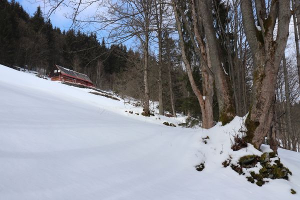 Malá Úpa, 24.3.2021
Dolní Malá Úpa - Krakonošovo údolí.
Klíčová slova: Krkonoše Dolní Malá Úpa Krakonošovo údolí