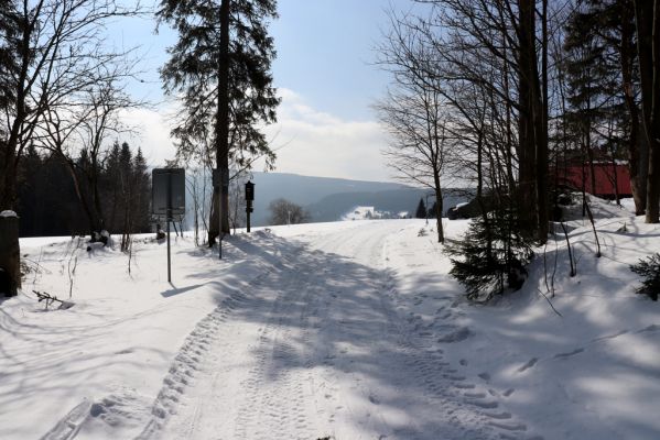 Pec pod Sněžkou, 24.3.2021
Velká Úpa - Janovy Boudy. Cesta z Krakonošova údolí.
Klíčová slova: Krkonoše Pec pod Sněžkou Velká Úpa Janovy Boudy