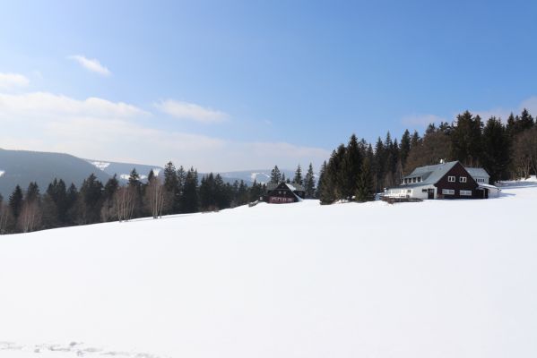 Pec pod Sněžkou, 24.3.2021
Velká Úpa - Janovy Boudy.
Klíčová slova: Krkonoše Pec pod Sněžkou Velká Úpa Janovy Boudy