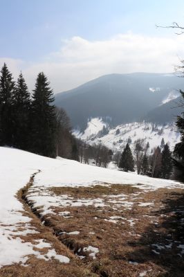 Pec pod Sněžkou, 24.3.2021
Velká Úpa - Výsluní. Svahy Světlé hory.
Klíčová slova: Krkonoše Pec pod Sněžkou Velká Úpa Výsluní Světlá hora