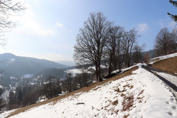 Pec pod Sněžkou, 24.3.2021
Velká Úpa - Výsluní.
Klíčová slova: Krkonoše Pec pod Sněžkou Velká Úpa Výsluní