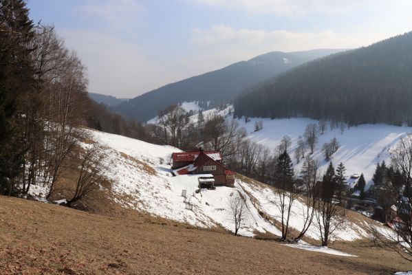 Pec pod Sněžkou, 24.3.2021
Velká Úpa - Výsluní.
Schlüsselwörter: Krkonoše Pec pod Sněžkou Velká Úpa Výsluní