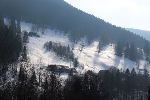 Pec pod Sněžkou, 24.3.2021
Velká Úpa - pod Vlašským vrchem.
Klíčová slova: Krkonoše Pec pod Sněžkou Velká Úpa Vlašský vrch