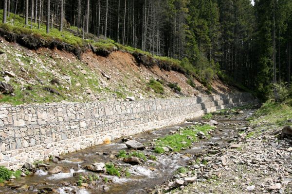 Horní Malá Úpa, 25.5.2010
Sutý břeh Malé Úpy v údolí pod vrchem Haida. Biotop kovaříka Orithales serraticornis. Břeh byl zpevněn kamennou zdí. Teď už jen zbývá osázet jej smrčky...
Mots-clés: Krkonoše Horní Malá Úpa Haida Orithales serraticornis Pheletes aeneoniger Athous subfuscus