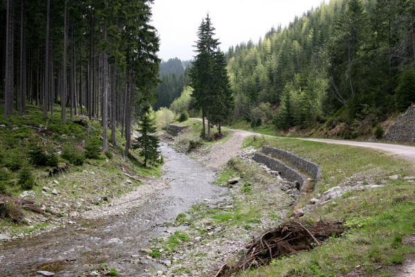 Horní Malá Úpa, 25.5.2010
Koryto Malé Úpy v údolí pod vrchem Haida. Narušené břehy byly zpevněny kamennými zídkami. 
Klíčová slova: Krkonoše Horní Malá Úpa Haida