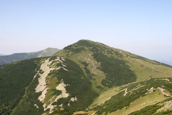 Malá Fatra, Veľký Kriváň, 29.7.2013
Veľký Kriváň z Chlebu.
Klíčová slova: Malá Fatra Veľký Kriváň Ctenicera cuprea Hypnoidus rivularius