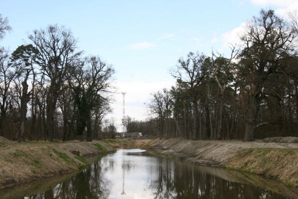 Malacky, 29.3.2017
Bažantnica - jižní část. Vodní dílo Malina.
Keywords: Malacky bažantnica Malina