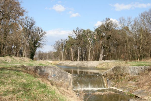 Malacky, 29.3.2017
Bažantnica - jižní část. Vodní dílo Malina.
Keywords: Malacky bažantnica Malina