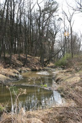 Malacky, 29.3.2017
Bažantnica - severní část, meandry Maliny.
Mots-clés: Malacky bažantnica Malina