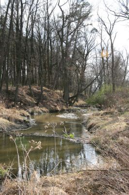 Malacky, 29.3.2017
Bažantnica - severní část, meandry Maliny.
Klíčová slova: Malacky bažantnica Malina