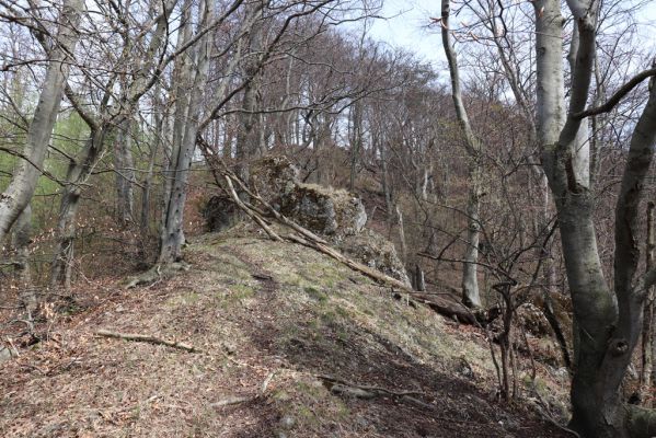 Malé Ledenice, 17.4.2019
Strážovské vrchy, vrch Dúpna.
Keywords: Malé Ledenice Strážovske vrchy vrch Dúpna