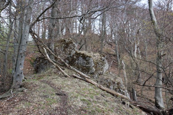 Malé Ledenice, 17.4.2019
Strážovské vrchy, vrch Dúpna.
Klíčová slova: Malé Ledenice Strážovske vrchy vrch Dúpna