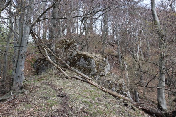 Malé Ledenice, 17.4.2019
Strážovské vrchy, vrch Dúpna.
Mots-clés: Malé Ledenice Strážovske vrchy vrch Dúpna