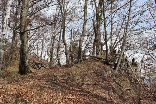 Malé Ledenice, 17.4.2019
Strážovské vrchy, vrch Dúpna.
Mots-clés: Malé Ledenice Strážovske vrchy vrch Dúpna