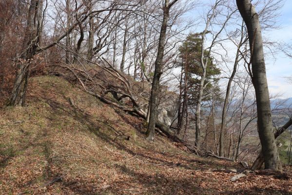 Malé Ledenice, 17.4.2019
Strážovské vrchy, vrch Dúpna.
Mots-clés: Malé Ledenice Strážovske vrchy vrch Dúpna