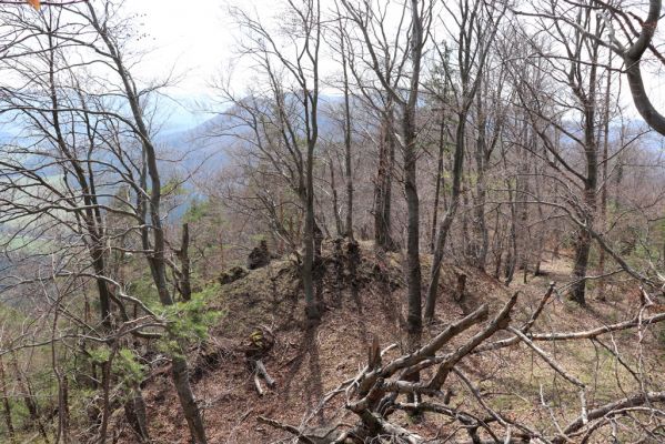 Malé Ledenice, 17.4.2019
Strážovské vrchy, vrch Dúpna.
Keywords: Malé Ledenice Strážovske vrchy vrch Dúpna