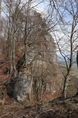 Malé Ledenice, 17.4.2019
Strážovské vrchy, vrch Dúpna.
Mots-clés: Malé Ledenice Strážovske vrchy vrch Dúpna