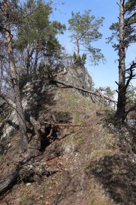 Malé Ledenice, 17.4.2019
Strážovské vrchy, vrch Dúpna.
Mots-clés: Malé Ledenice Strážovske vrchy vrch Dúpna