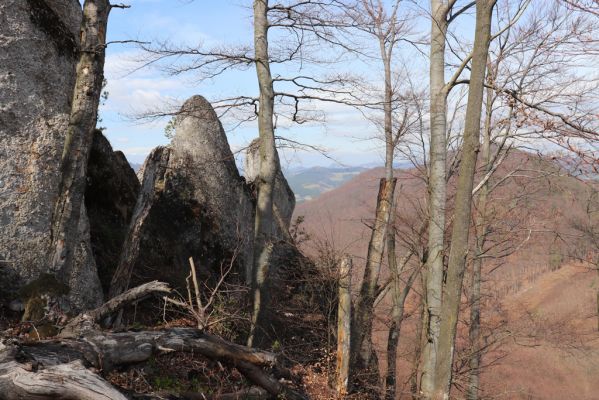 Malé Ledenice, 17.4.2019
Strážovské vrchy, vrch Dúpna.
Mots-clés: Malé Ledenice Strážovske vrchy vrch Dúpna